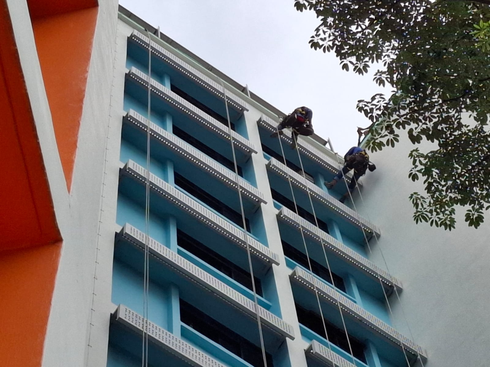 Facade Repair - Progress